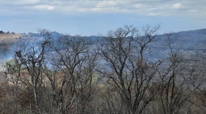 Glade Top Trail Fire Covers 1500 Acres