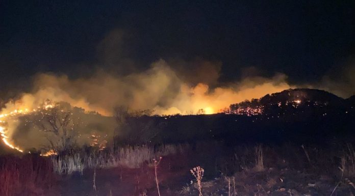 Forest Fire Near Glade Top Trail