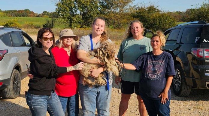 Dog Being Tracked By Ozarks Pet Rescue For 8 Months Finally Caught!