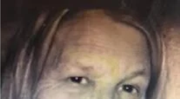 Donna J Collins