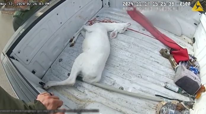 Poacher Arrested Near Van Buren