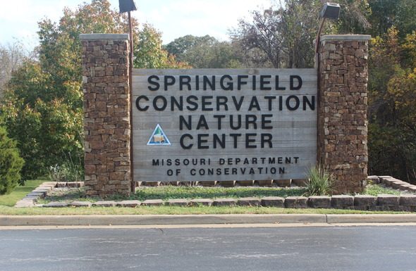 Cozy up to relaxing nature stories at Jan. 3 MDC virtual program
