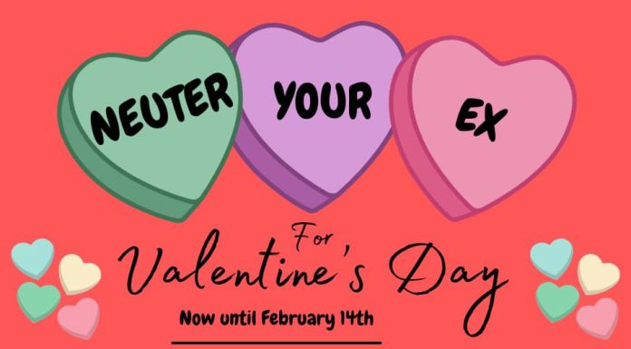 Revenge is a Dish Best Served in a Litter Box! Ozarks Pet Rescue Announces Two Funny Valentine’s Fundraisers