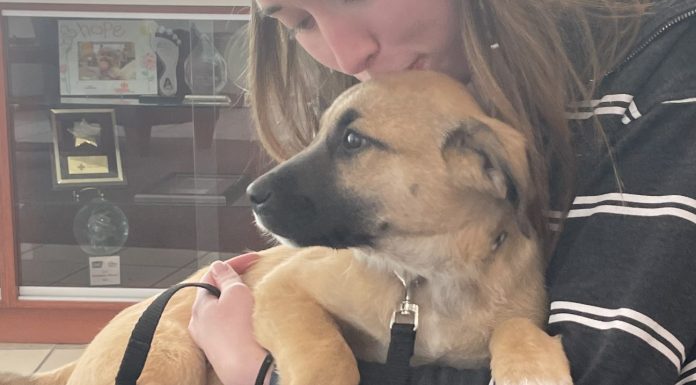 Featured Pet of the Day – “Kina”