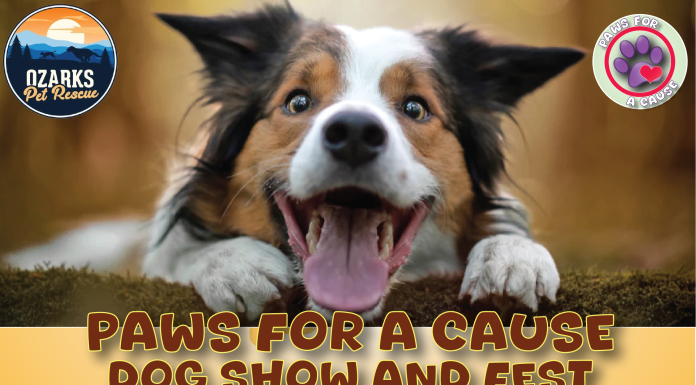 Local Businesses Join Forces to Support Ozarks Pet Rescue at Paws For A Cause
