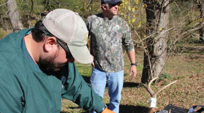 CWD detected in Baxter and Cleburne counties