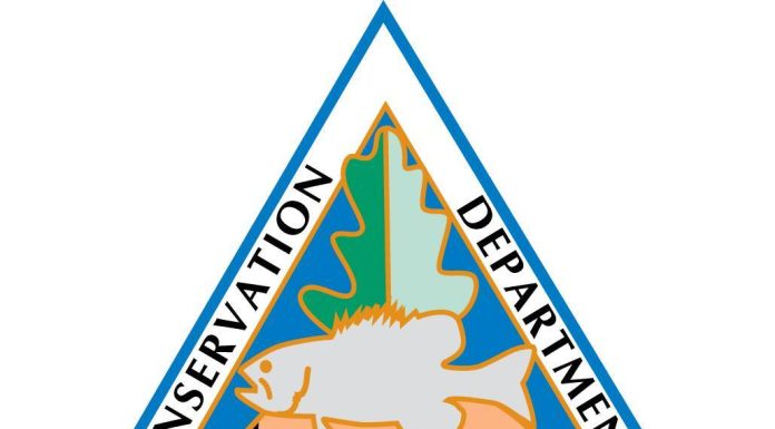 MDC Reminds Hunters to Apply for Elk and Bear Permits in May