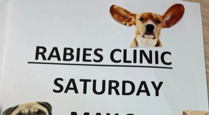 Mountain View Animal Clinic to Host Rabies Vaccination Clinics on May 3
