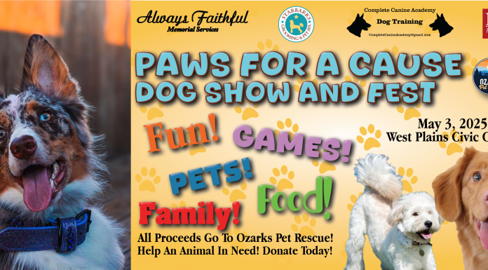 Paws-itively Unforgettable Paws For A Cause Pet Show and Festival Coming Soon – Vendor Map, Course Map, and Schedule Dropped!