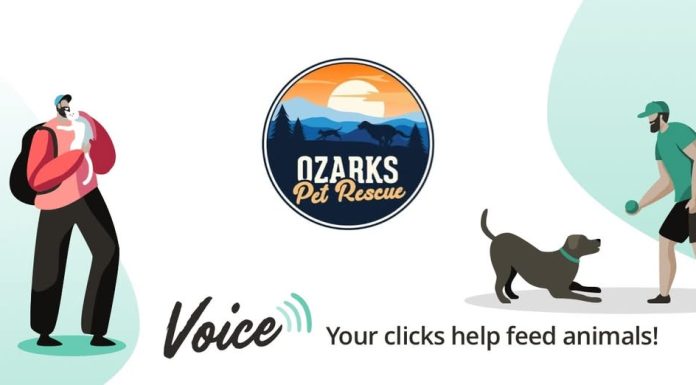 Ozarks Pet Rescue Needs Your Clicks to Win 165 Pounds of Free Pet Food