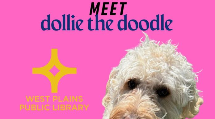 Dose of Goodness: From Rescue Dog to Therapy Dog – Learn Dollie’s Story and Meet Her At Upcoming West Plains Library Event!