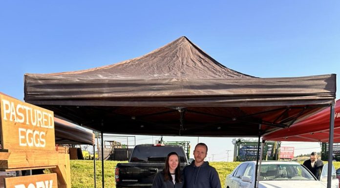 A Talk with Nolan Collins of Collins Ridge Farms