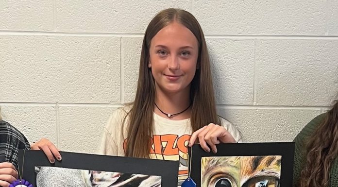 Dora R-III Student Recognized in Congressional Art Competition