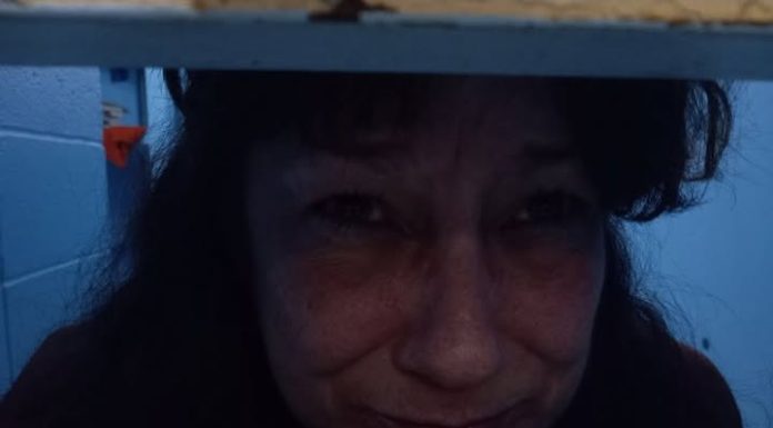 Birch Tree Woman Arrested on Friday
