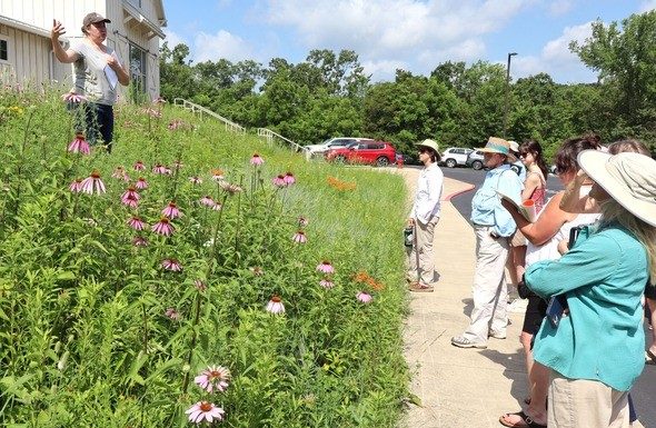 MDC-Assisted Garden at Wilder Museum in Mansfield Receives Honor
