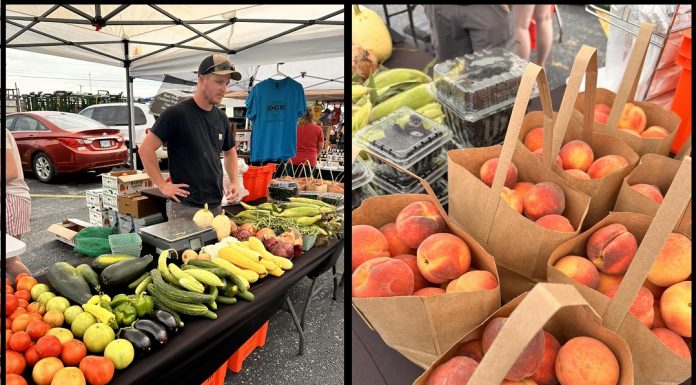 Peaches, Blackberries, Corn and More: A GoFarm Spotlight on Ford Family Farm