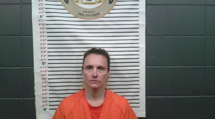 Mountain View Woman Arrested on Drug Charges