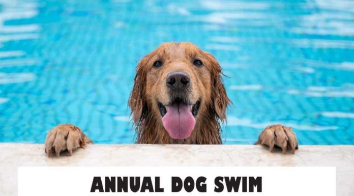 Paws in the Pool: West Plains Aquatic Center to Host Annual Dog Swim Before Season Ends