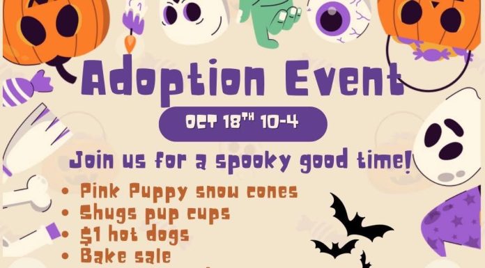 ICARE Hosting Spooky Adoption Event October 18