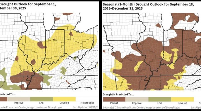 Drought Expected to Persist, Despite Rain Arriving to the Ozarks