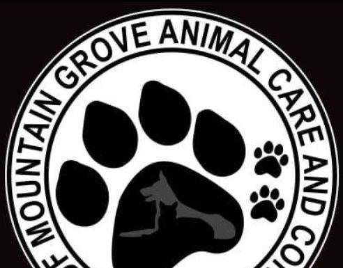 City of Mountain Grove Animal Control with Multiple pets for Adoptions