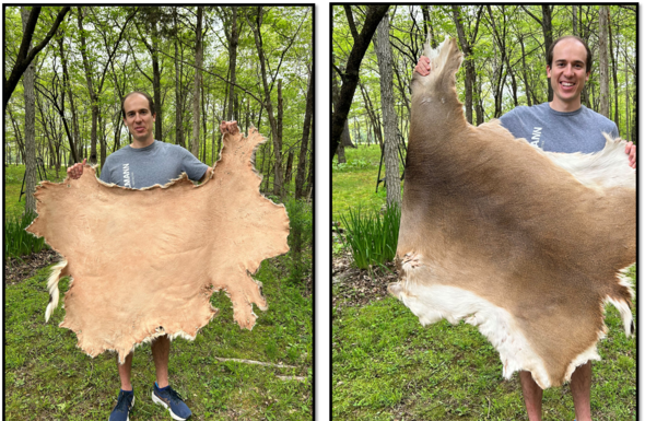 Learn How to Tan Deer Hides With Tree Bark; Courtesy of the MDC
