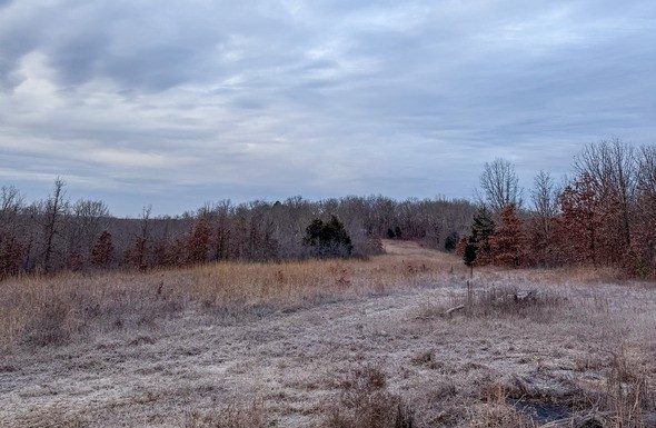 MDC Encourages Hunters to Make Use of Private Land Areas Authorized for Public Access