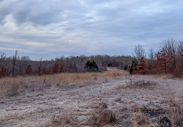 MDC Salem Hunting