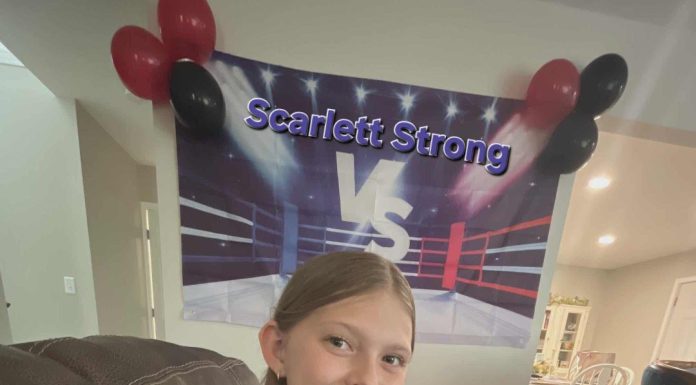 Fundraiser Wrestling Show Planned April in Ava