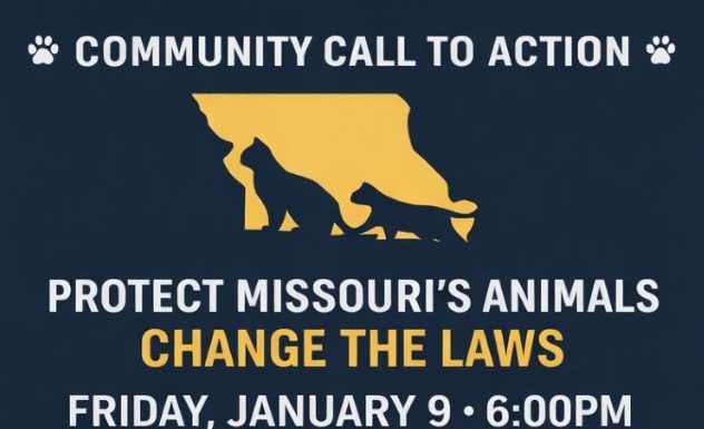 Ozarks Pet Rescue To Host Community Meeting