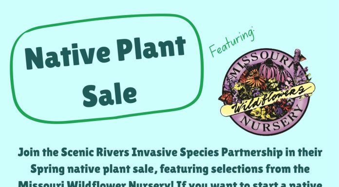 NATIVE PLANT SALE IN WEST PLAINS
