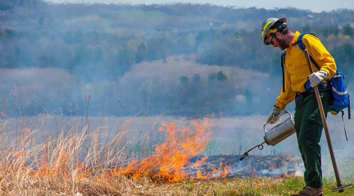 Prescribed Burn Underway Today at White Ranch