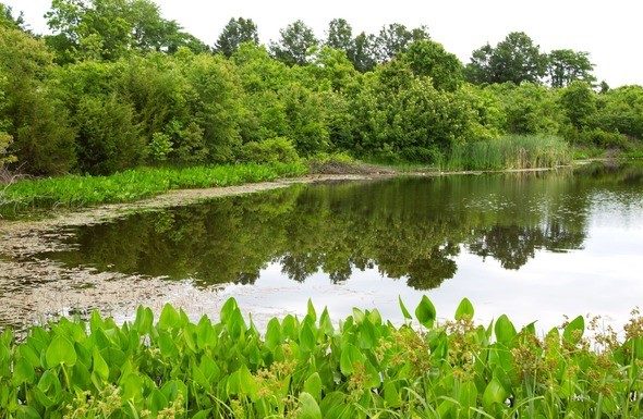 MDC to host pond management workshop April 7 in Wright County