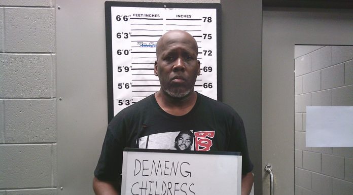 Texas Man Booked on Vehicle Theft, Damage Charges in Douglas County