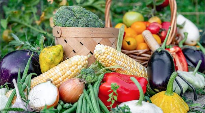 Local Farmers Markets Return Across Northeast Arkansas