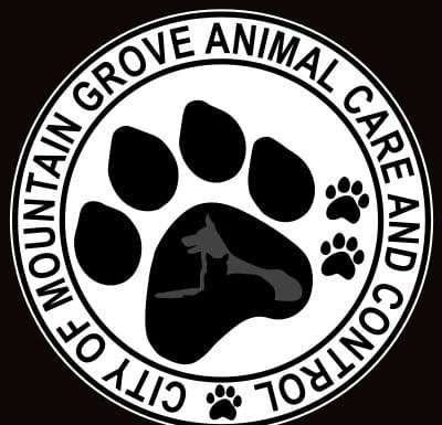 Adoption Fees Waived as Shelter Reaches Capacity in Mountain Grove