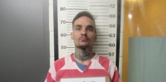 Ozark County arrest tied to Douglas County probation violation case