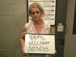 Dora Woman Arrested on Douglas County Grand Jury Indictment