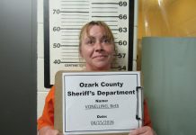 Theodosia woman arrested on warrant following Dugginsville investigation