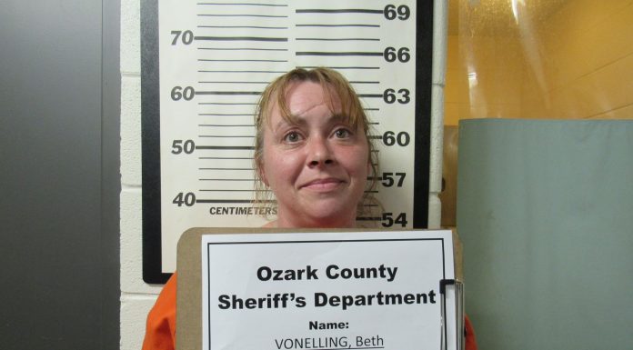 Theodosia woman arrested on warrant following Dugginsville investigation