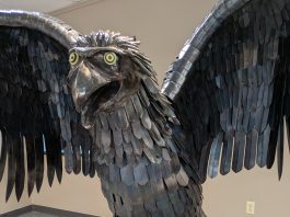 “FREEDOM” Multi-Media Exhibit Celebrating America’s 250 Years in the Ozarks