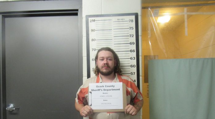 Man arrested after reported theft in Gainesville