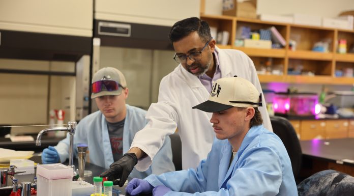 MSU-WP Biology Students Participate in Virology Research