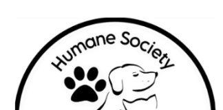 The Humane Society of North Central Arkansas Will Host Adoption Event At Petco In Mountain Home, Saturday, July 11th, 2026
