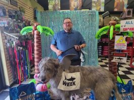 All Pet and Equine Supply Celebrating 25 Years
