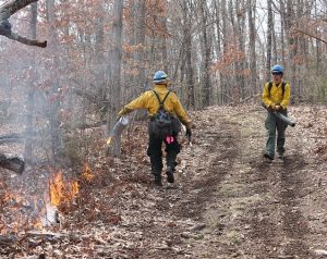 MDC to present several Prescribed fire workshops