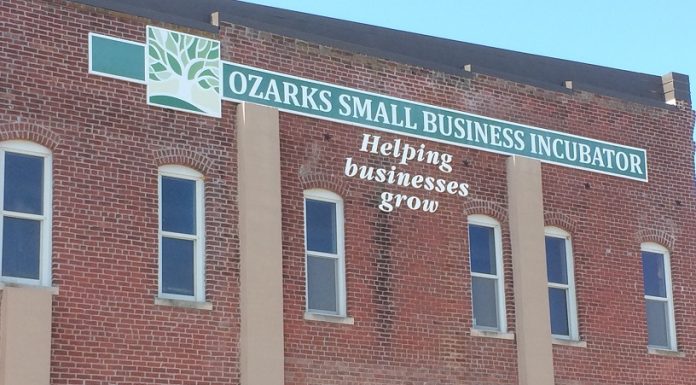 Smart Start workshop to kick off 2020 at OzSBI