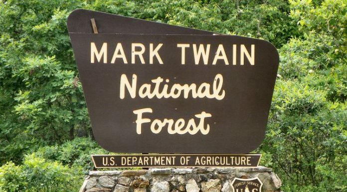 Soil and water – foundations of healthy Mark Twain National forest