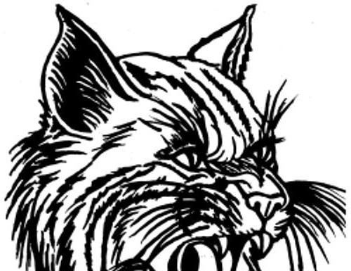 Bobcats fall in semi finals in class 3