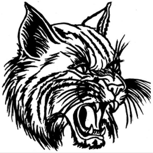thayer_bobcats